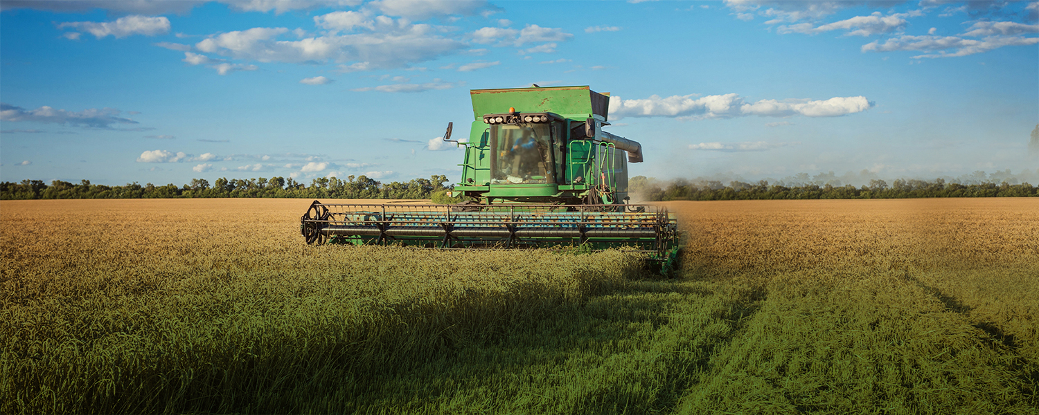 We believe in cultivating PROSPERITY for our clients